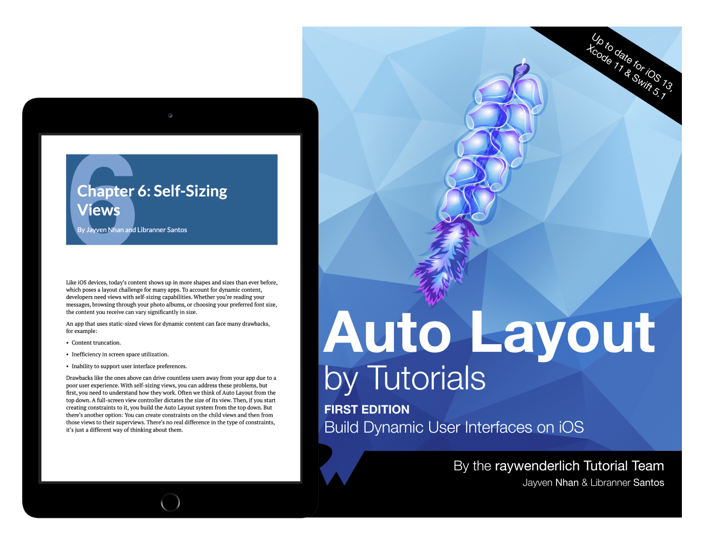 Auto Layout by Tutorials
