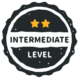 For Intermediate Developers
